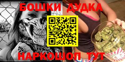 гидропоника Будённовск