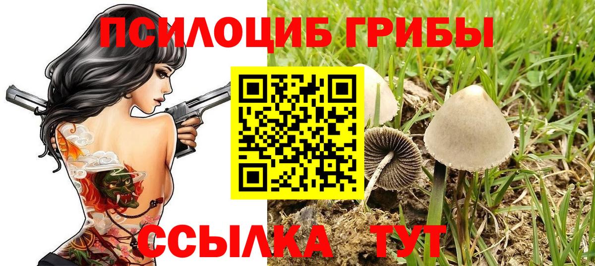 Мегион  Галлюциногенные грибы GOLDEN TEACHER  Вход с VPN  Галлюциногенные грибы Psilocybe 