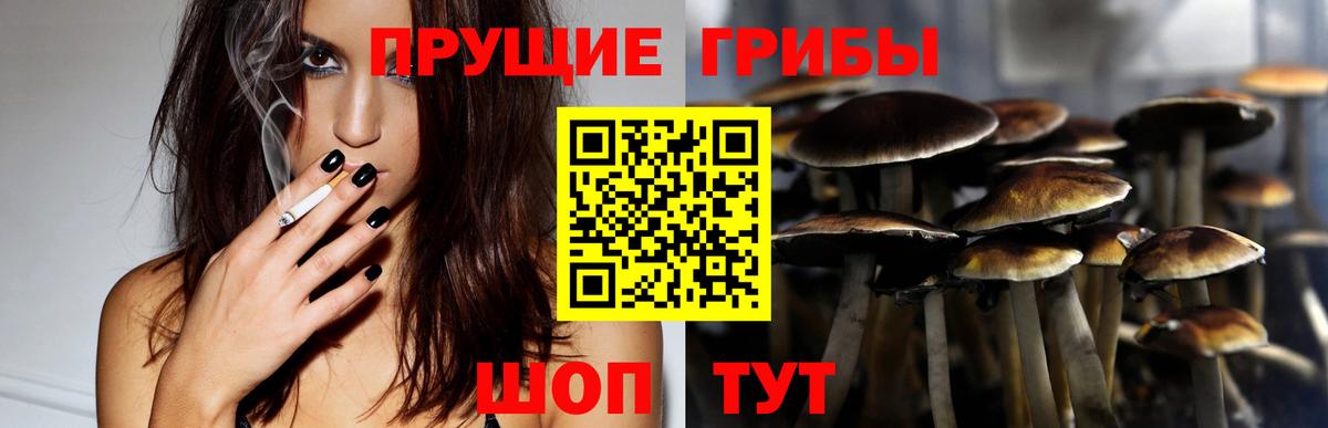 Галлюциногенные грибы прущие грибы Мегион